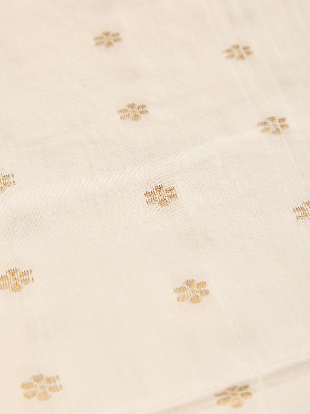 Pure Handloom Raw Silk with Elegant Kanchipuram Weaving Border