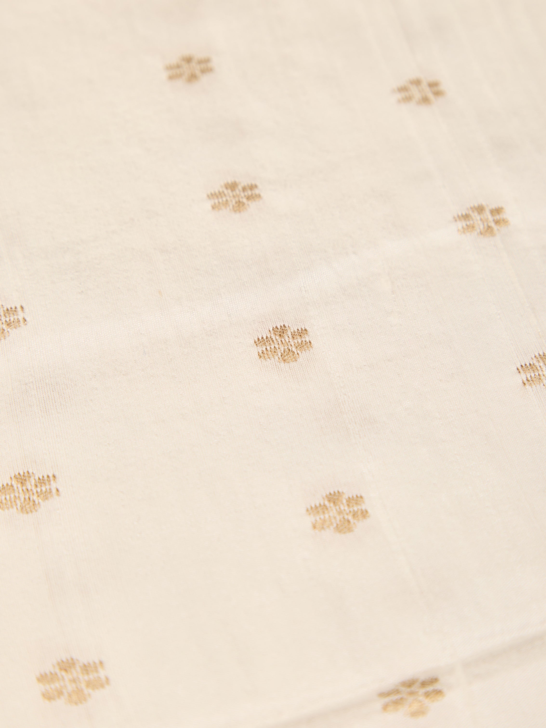 Pure Handloom Raw Silk with Elegant Kanchipuram Weaving Border