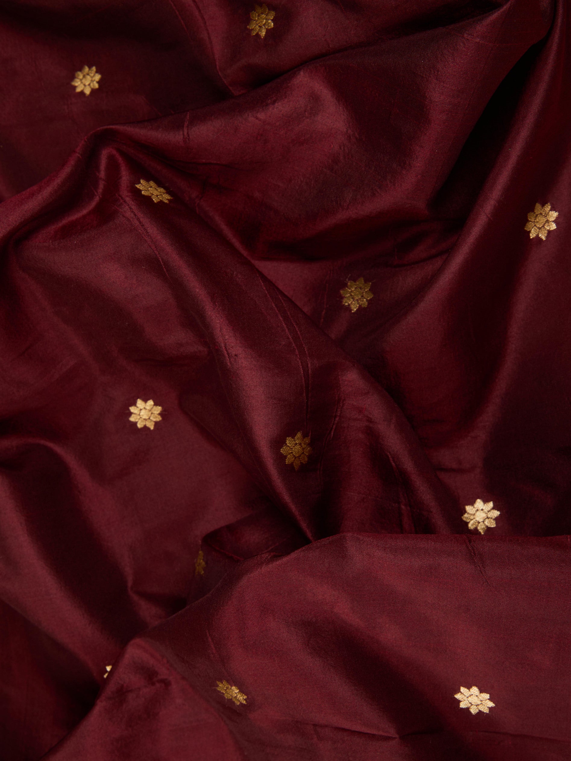 Pure Handloom Silk with Heritage Paithani Muniya Border