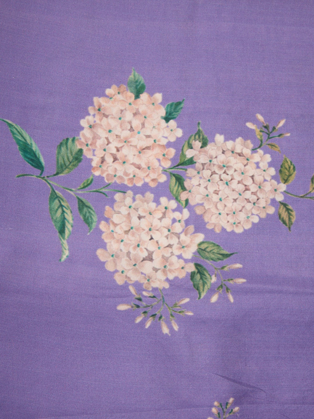 Pure Silk Fabric with Exquisite Digital Prints & Kanchipuram Weaving Border