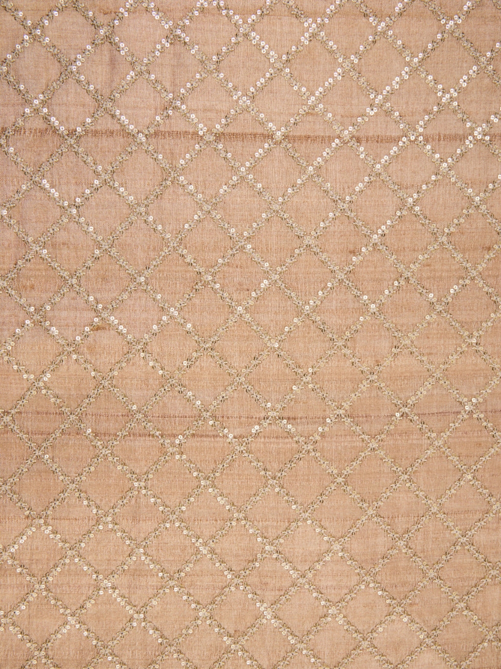 Pure Tusser Fabric with Intricate Sequence & Threadwork