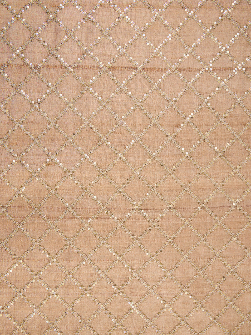 Pure Tusser Fabric with Intricate Sequence & Threadwork